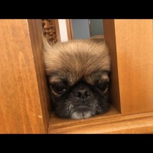 Meet your Posher, Stuart